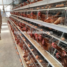 Poultry layer battery chicken cage for Nigeria Kenya South Africa Tanzania Uganda farm(Whatsapp: +86 13331359638)